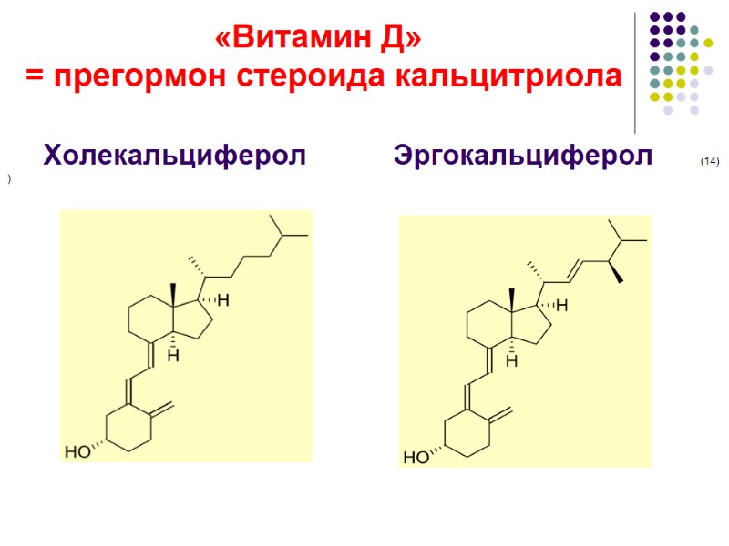 «Витамин Д»     = прегормон стероида кальцитриола    